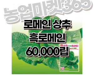 [아시아종묘] 상추-흑로메인 60,000립 [50,000원]