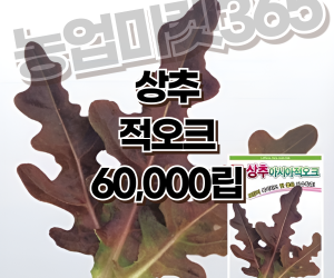 [아시아종묘] 상추-적오크 60,000립 [50,000원]