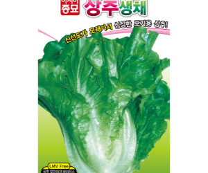 [아시아종묘] 상추 생채(LMV) 1500립 [4,000원]