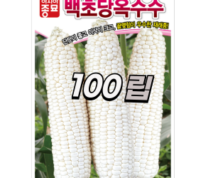 [아시아종묘] 초당옥수수-백초당옥수수 100립 2000립