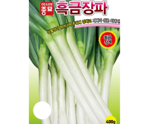 [아시아종묘] 대파 흑금장파 10g 80g 400g