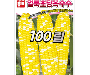 [아시아종묘] 초당옥수수 얼룩초당옥수수 100립 2,000립