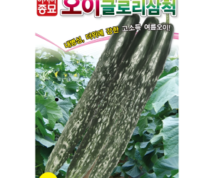 [아시아종묘] 오이 글로리삼척 50립 [4,000원]