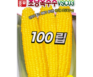 [아시아종묘] 초당옥수수 vsc03 100립 2,000립