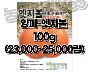 [아시아종묘] 양파-엣지볼 100g [100,000원]