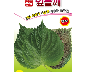 [아시아종묘] 잎들깨 10g (약 2800립) [2,000원]