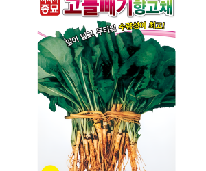 고들빼기 향고채 5000립 [4,000원]